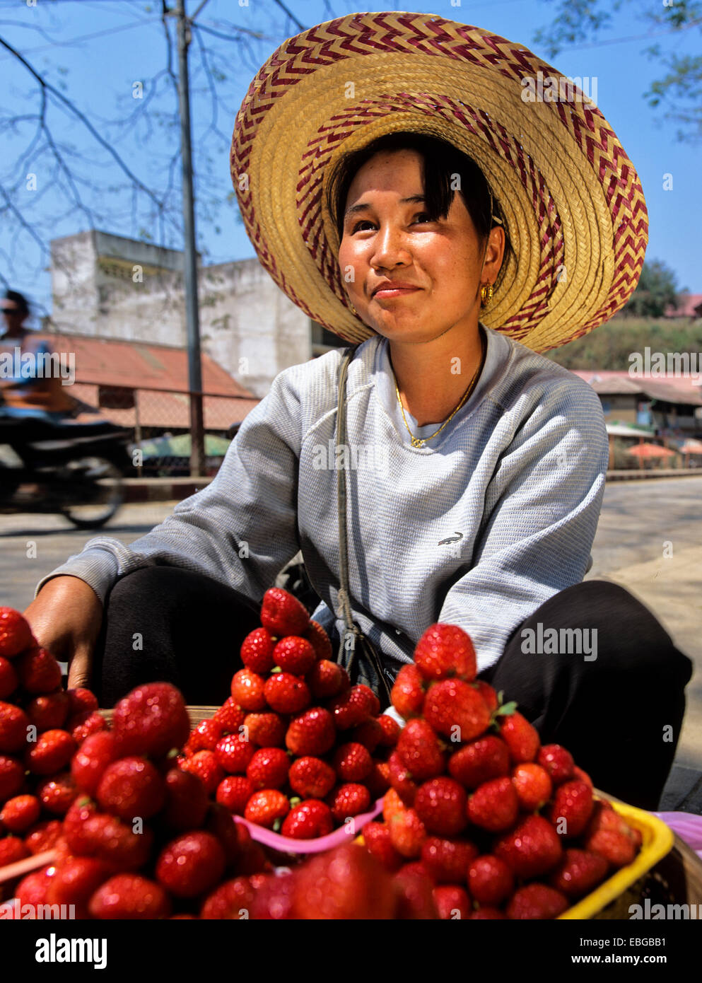 Giovane donna con fragole fresche in un mercato, provincia di Chiang Rai, Thailandia del Nord della Thailandia Foto Stock