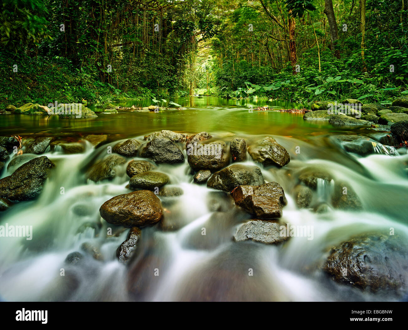 Flusso in Waipi&#39;o la valle, Kukuihaele, Big Island, Hawaii, Stati Uniti Foto Stock
