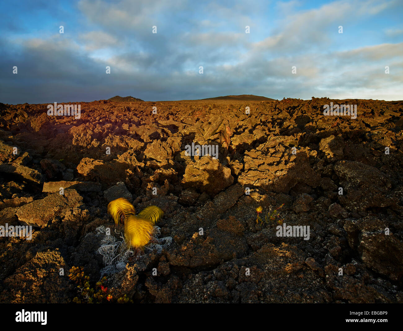 Rocce laviche in ultima luce della sera, Hawaiʻi-Volcanoes-Nationalpark, STATI UNITI D'AMERICA, Hawaii, Stati Uniti Foto Stock