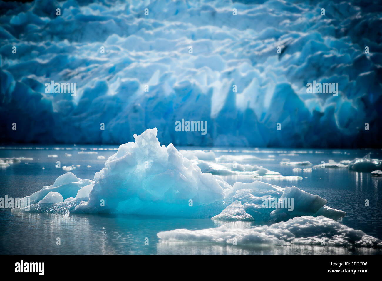 Ghiacciaio grey, ice floes, lago glaciale, Parco Nazionale Torres del Paine, Cile Foto Stock