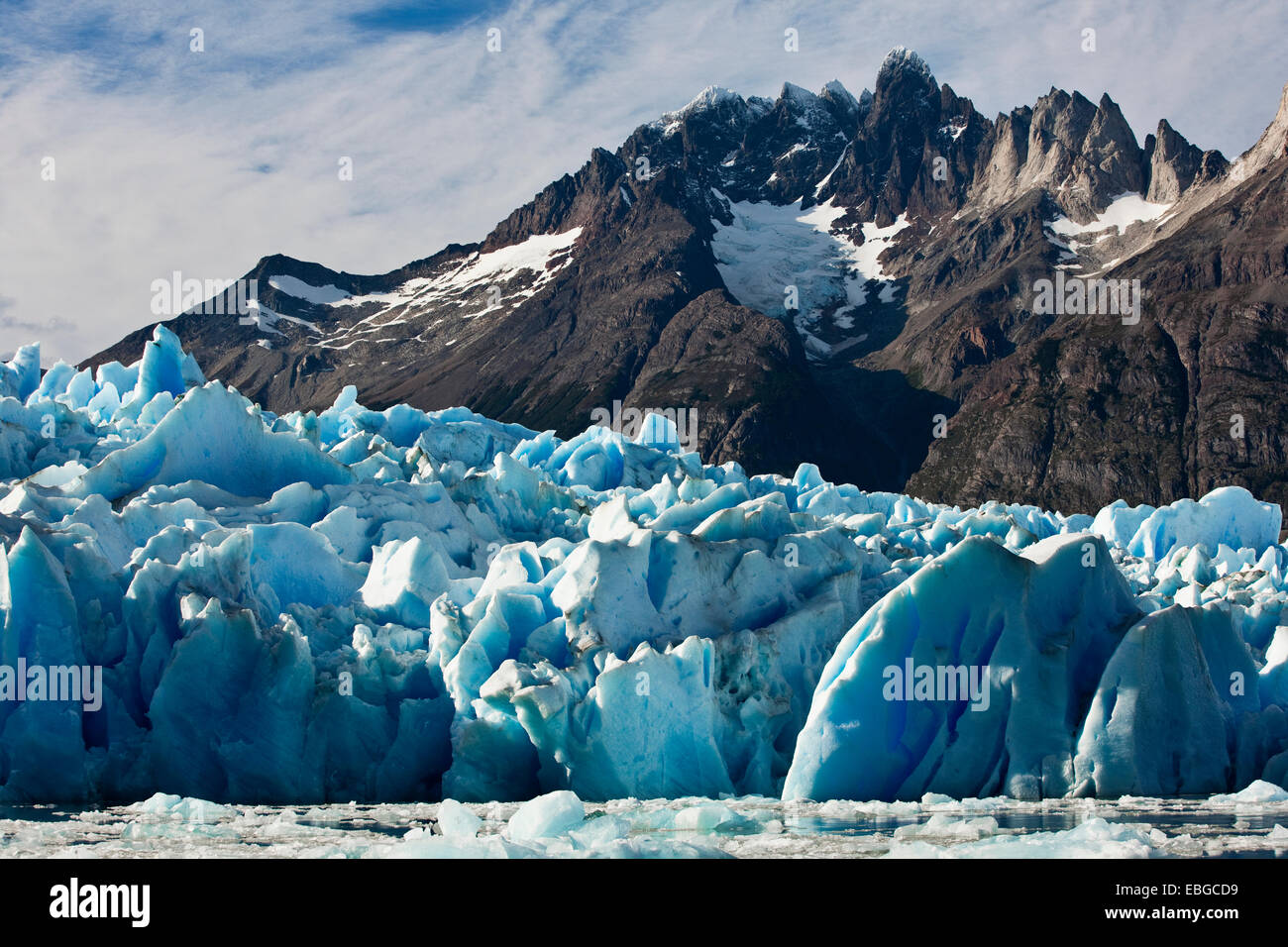 Ghiacciaio grey, ghiacciaio , glacier terminus, Parco Nazionale Torres del Paine, Cile Foto Stock