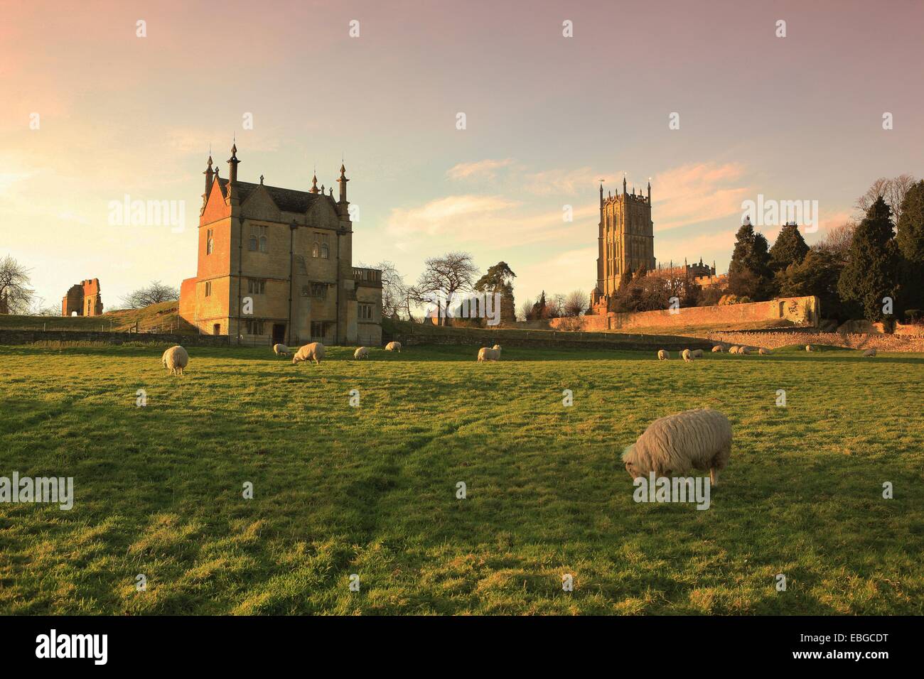 Pecore al pascolo sotto la chiesa di lana e i resti di un antico maniero a Chipping Campden in Cotswolds Foto Stock