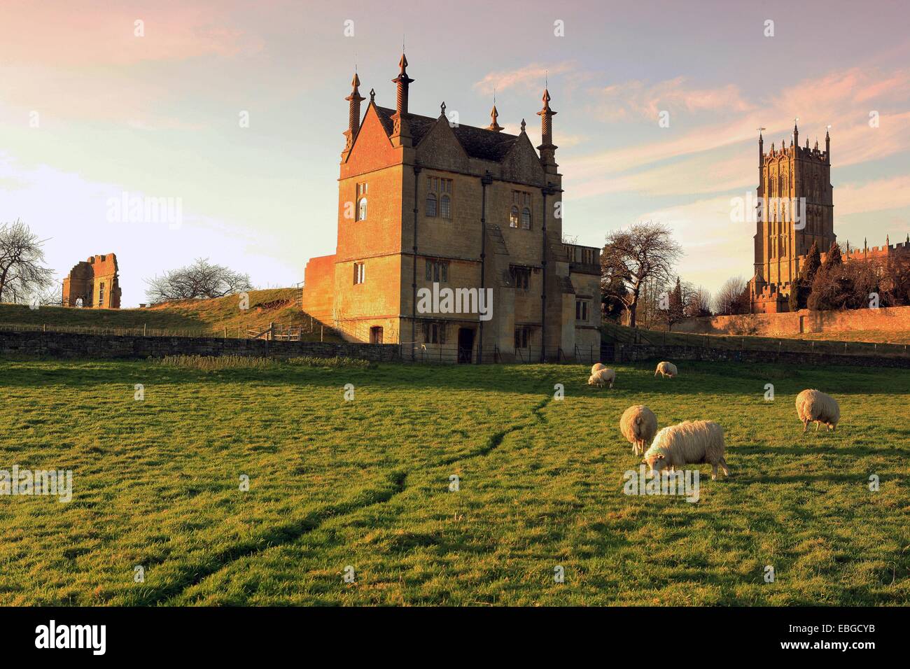 Pecore al pascolo sotto la chiesa e i resti del vecchio maniero a Chipping Campden in Cotswolds su pomeriggio d'inverno. Foto Stock