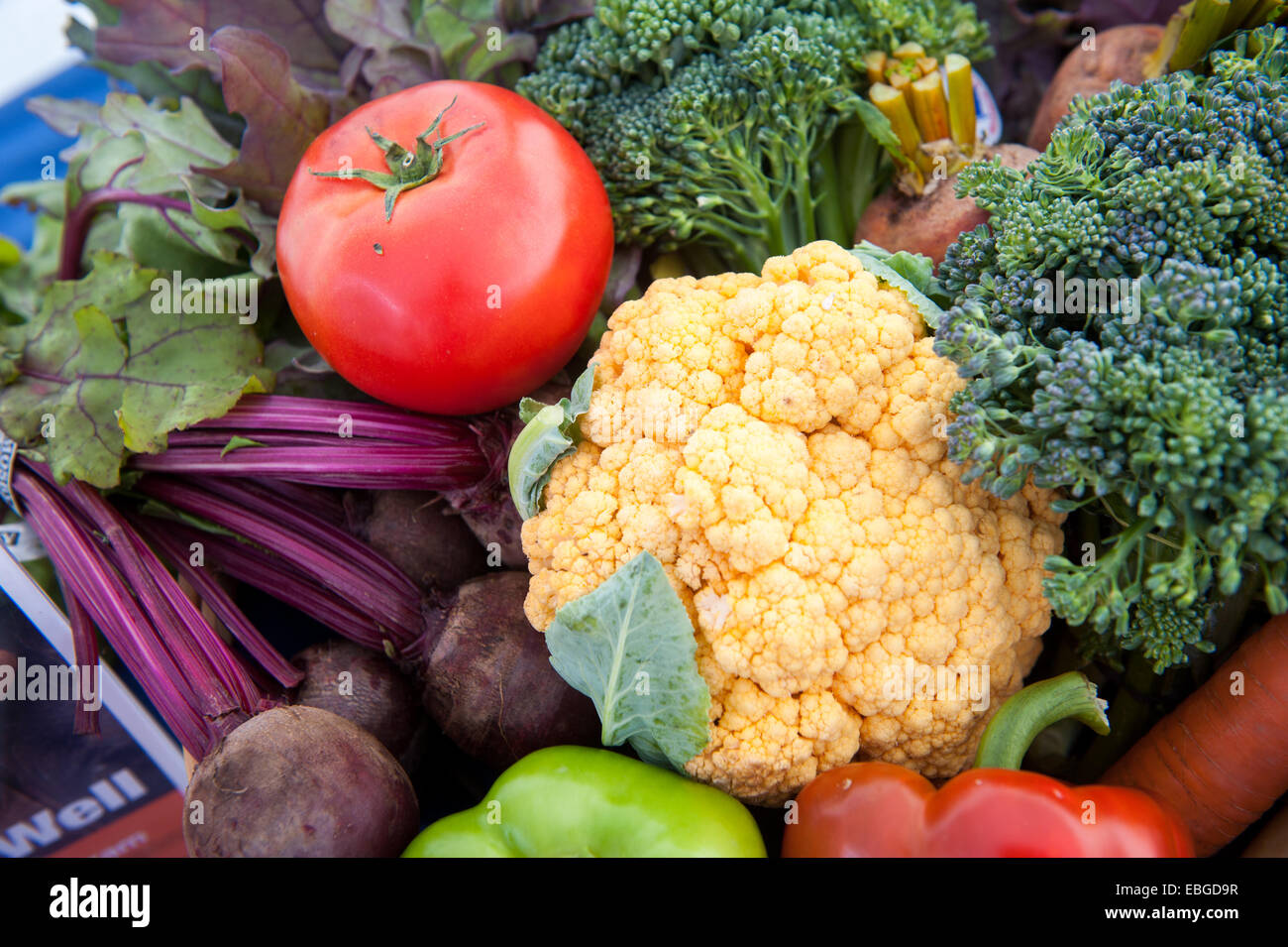 Bundle di raccolti di fresco di verdure a una fiera agricola in Alaska Foto Stock