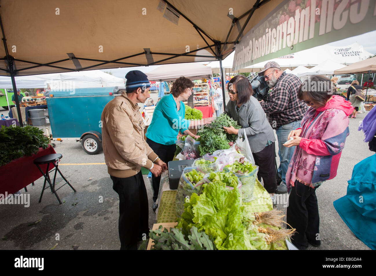 Verdura fresca cabina a un mercato degli agricoltori Foto Stock