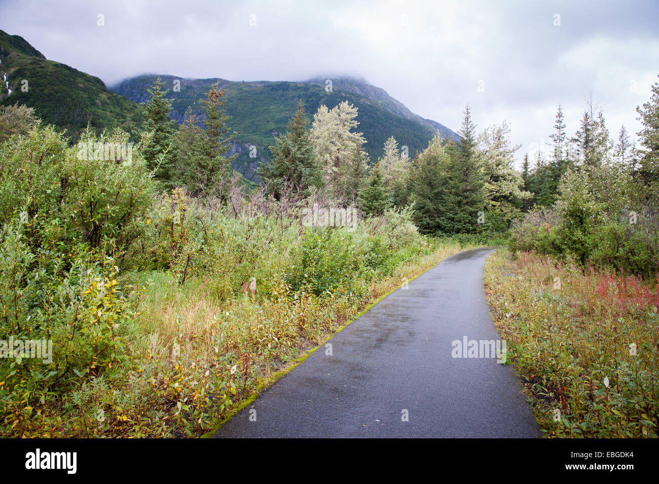 Piccola strada che conduce nel bosco in Portage Valley, Alaska Foto Stock