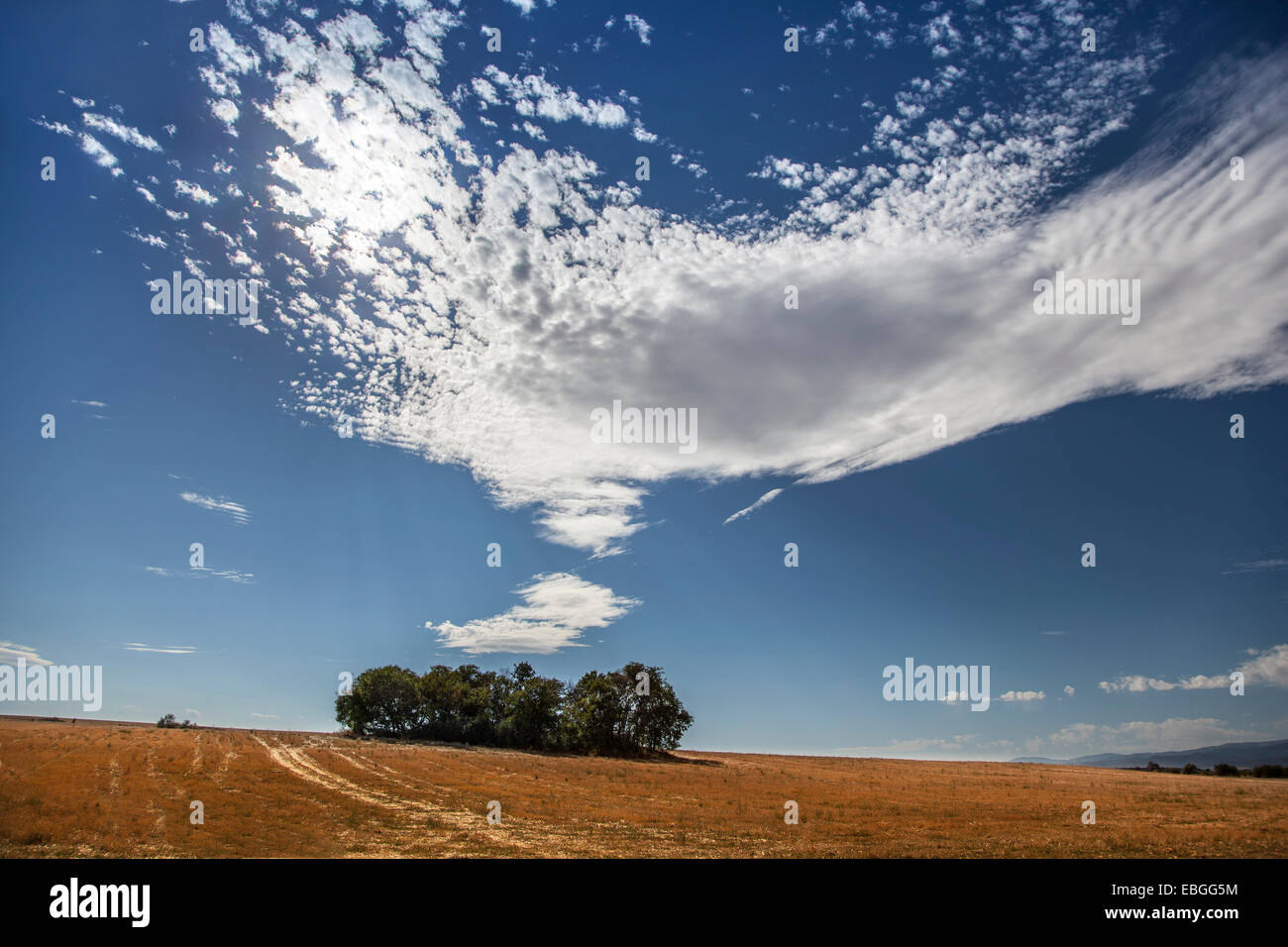 Paesaggio autunnale del settore agricolo e nuvole bianche su un cielo blu Foto Stock
