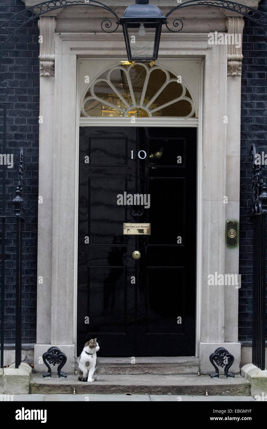 Westminster London,UK. Il 1 dicembre 2014. Larry il gatto si trova al di fuori della porta di 10 Downing street in un freddo giorno di credito: amer ghazzal/Alamy Live News Foto Stock
