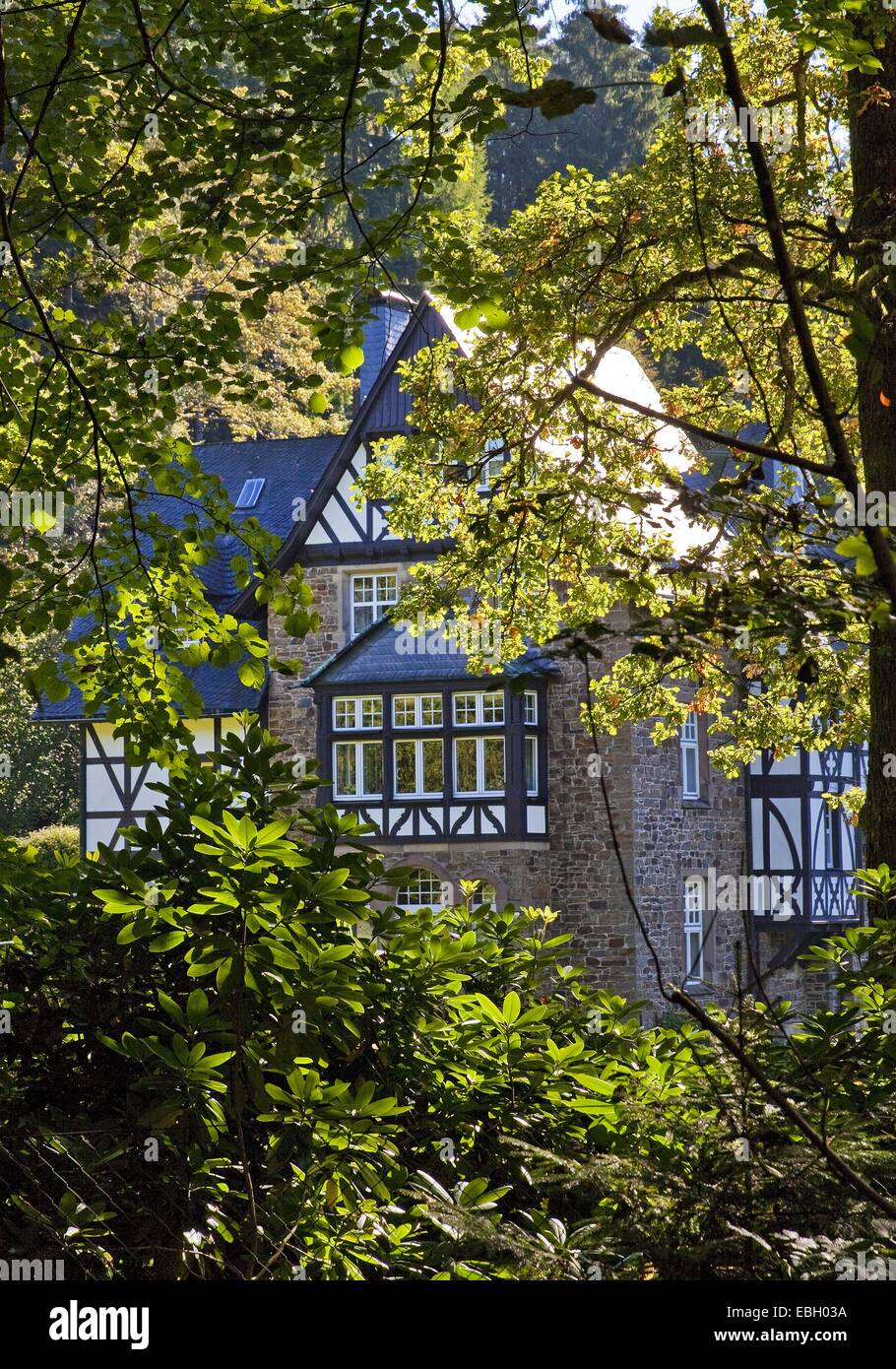 Il castello di Badinghagen dietro gli alberi, in Germania, in Renania settentrionale-Vestfalia, Sauerland, Meinerzhagen Foto Stock