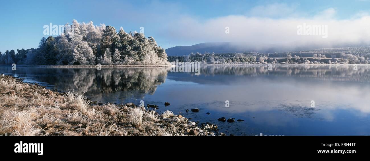 Loch Inis all'alba, il freddo inverno mattina, Scozia, Cairngorms NP. Foto Stock
