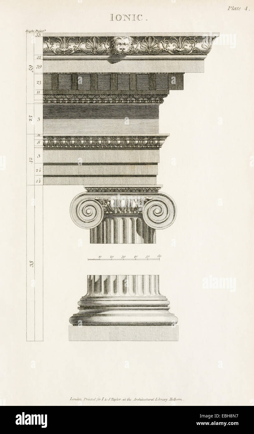 Ordine ionico colonna da 'i rudimenti di architettura antica". Vedere la descrizione per maggiori informazioni. Foto Stock