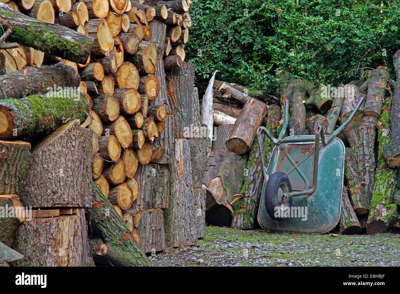 Ovenwood riserve per l'inverno, Germania Foto Stock