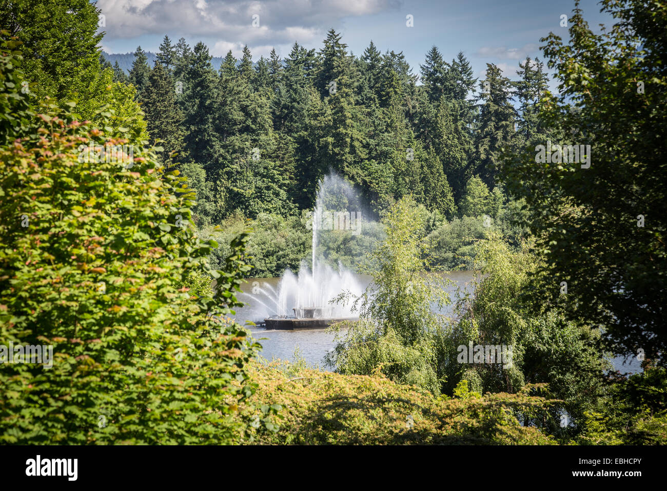 Perso Laguna, Stanley Park, Vancouver, British Columbia, Canada, America del Nord. Foto Stock
