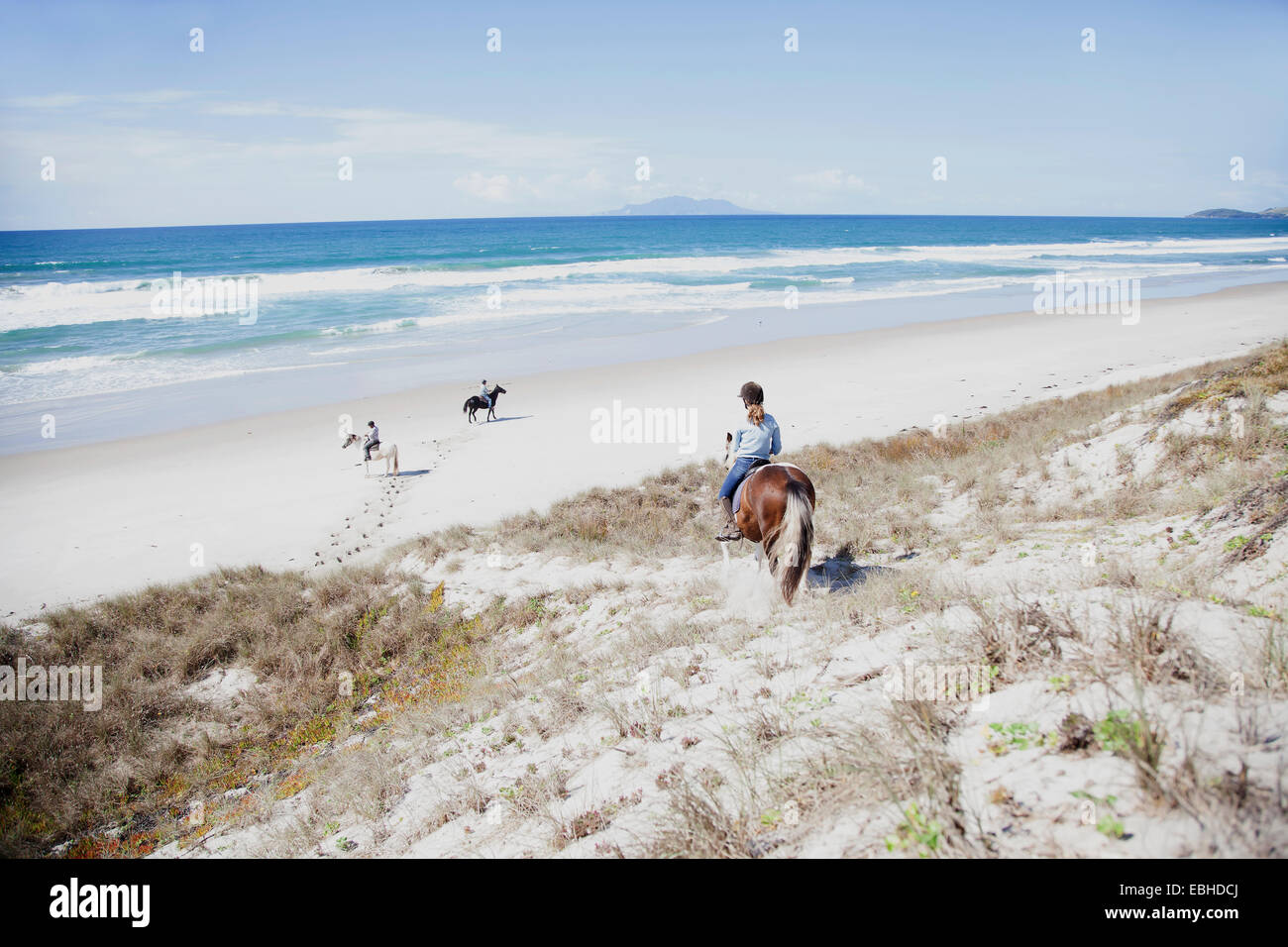 Equitazione, Pakiri Beach, Auckland, Nuova Zelanda Foto Stock