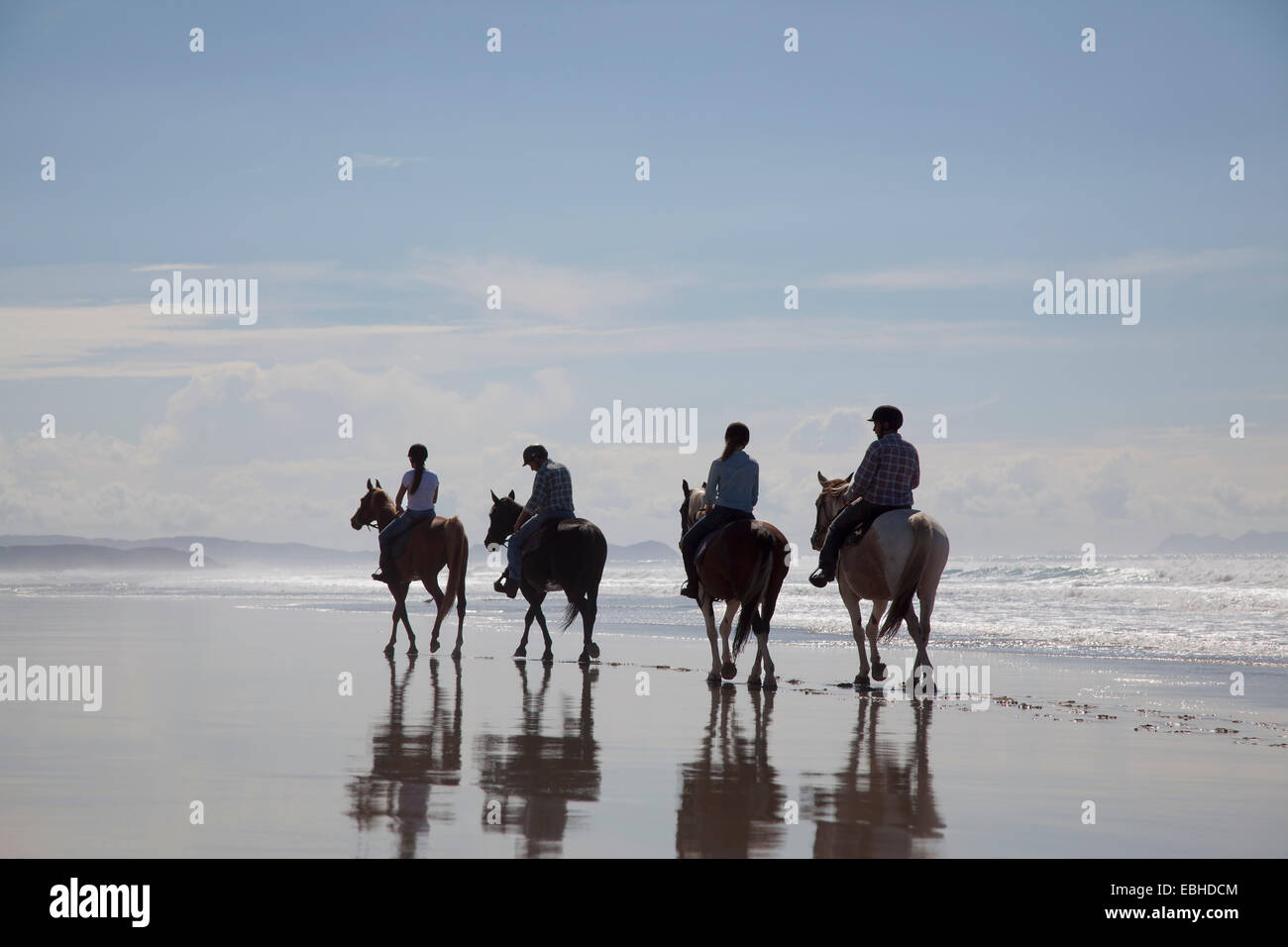 Equitazione, Pakiri Beach, Auckland, Nuova Zelanda Foto Stock