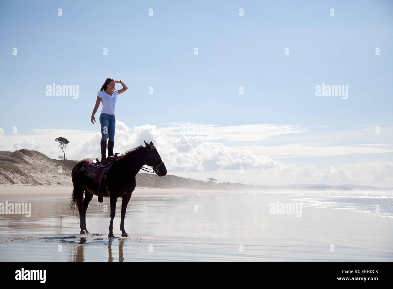 Cavaliere a cavallo in piedi sul cavallo, Pakiri Beach, Auckland, Nuova Zelanda Foto Stock
