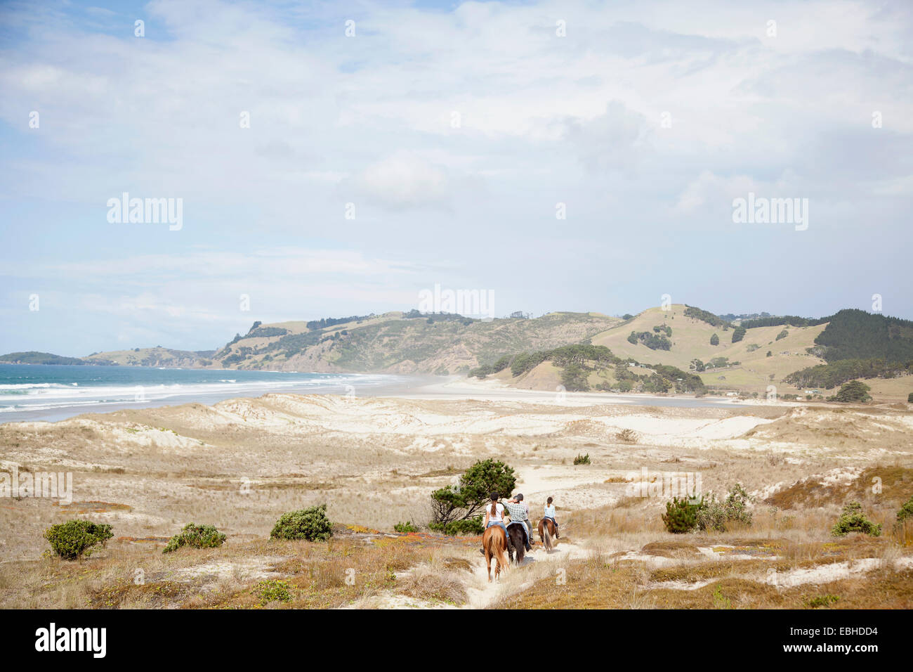 Equitazione, Pakiri Beach, Auckland, Nuova Zelanda Foto Stock