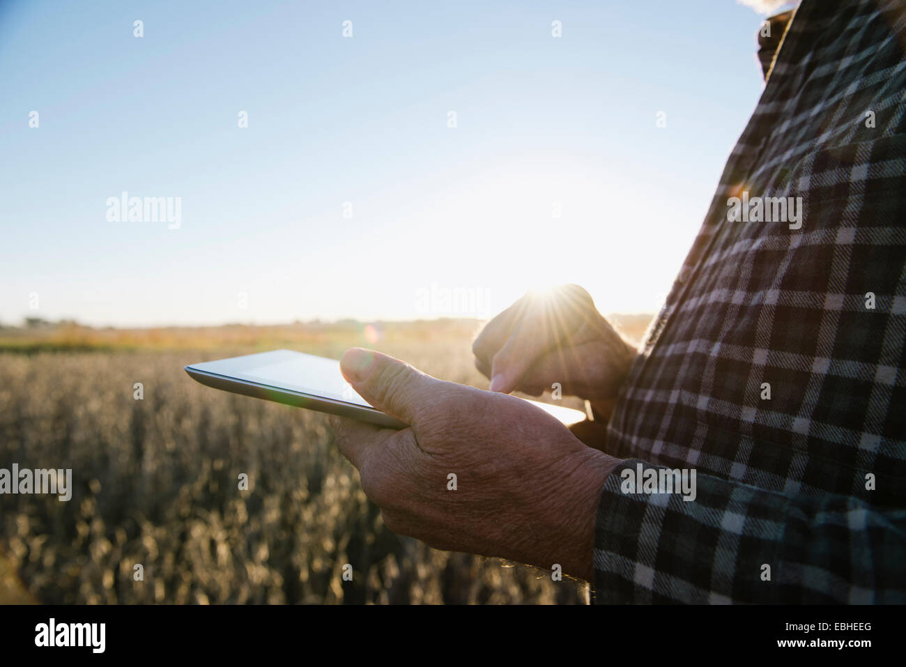 Ritagliato colpo di senior agricoltore maschio utilizzando tavoletta digitale nel campo di soia, Plattsburg, Missouri, Stati Uniti d'America Foto Stock