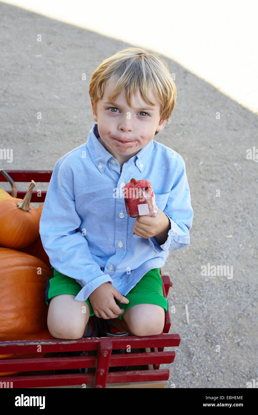 Ritratto di sorridere ragazzo seduto nel carrello di zucca mangiare iced per lecca-lecca Foto Stock