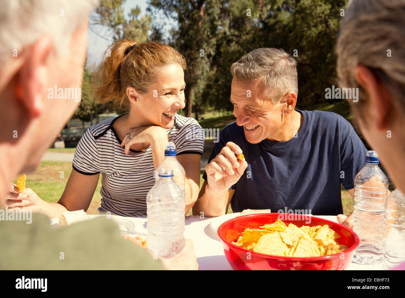 Quattro adulto Amici chattare su pranzo picnic nel parco Foto Stock