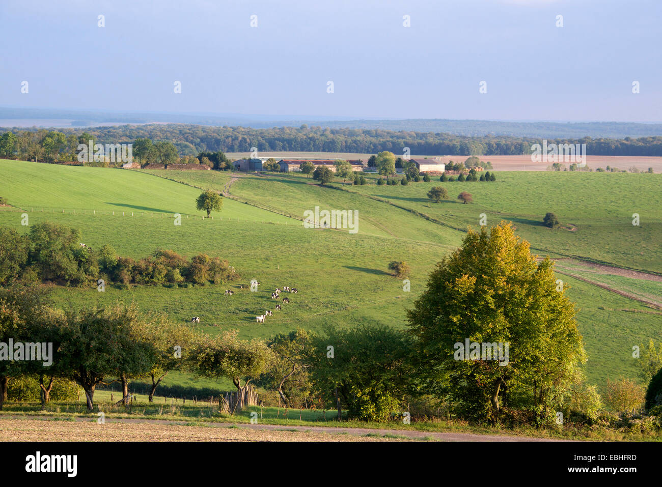 Paesaggio rurale Colombey-les-Deux-Eglises Haute Marne Francia Foto Stock