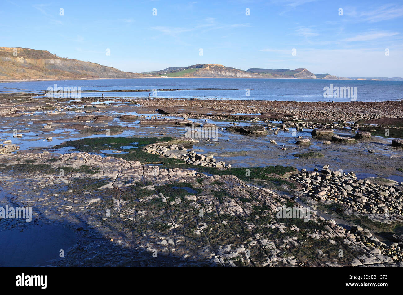 La bassa marea ad ampio risalto, Lyme Regis. Golden Cap in distanza Foto Stock