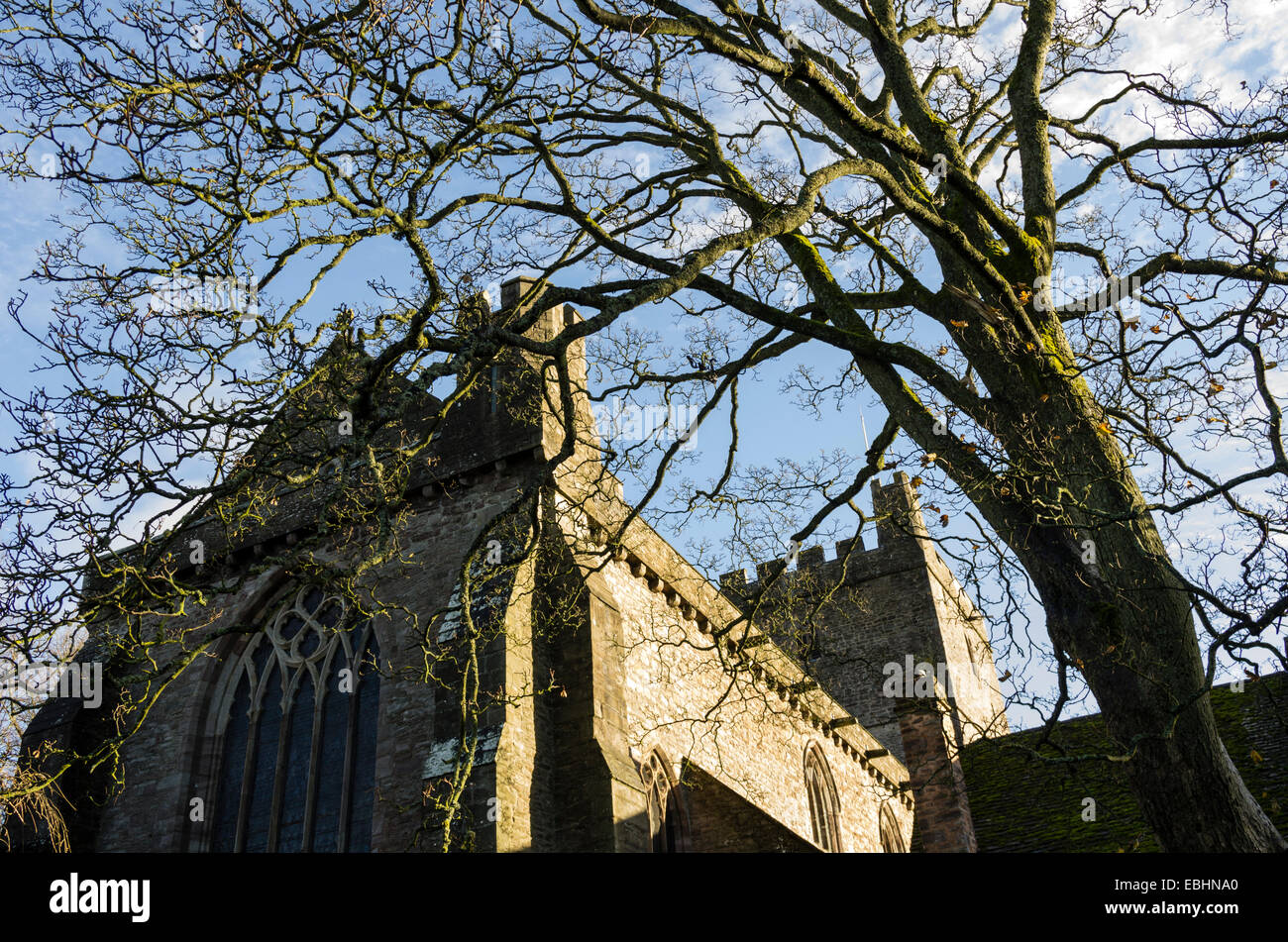 Brecon cattedrale in POWYS, GALLES, fondata nel XI secolo. Edificio in gran parte risalente al XIII secolo. Foto Stock