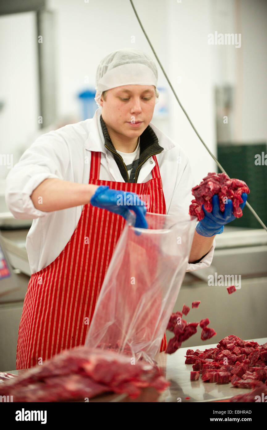 Macellerie al lavoro in una trasformazione della carne factory Foto Stock