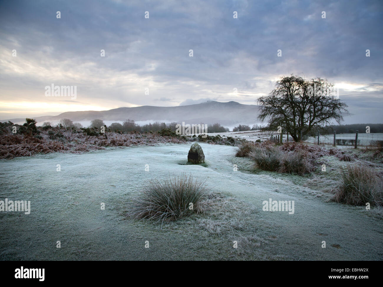 Inverno mattina con pesanti di brina sui Mynydd Illtud comune nel Parco Nazionale di Brecon Beacons, con picchi di montagna a distanza Foto Stock