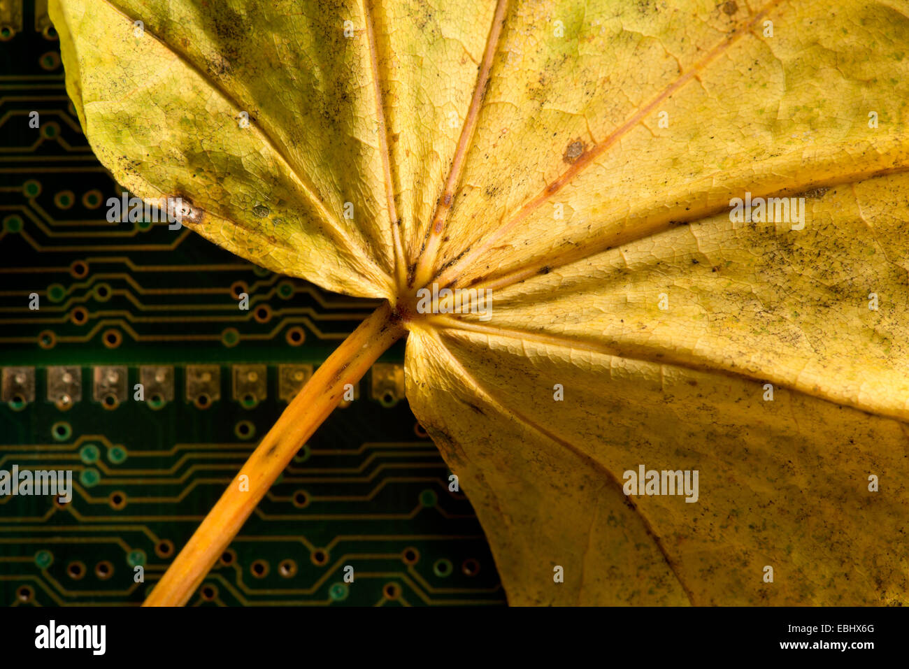 Artificiale e Naturale di rete del sistema di comunicazione in natura e ai sistemi di supporto di contrasto di materiali e circuito di resistenza Foto Stock
