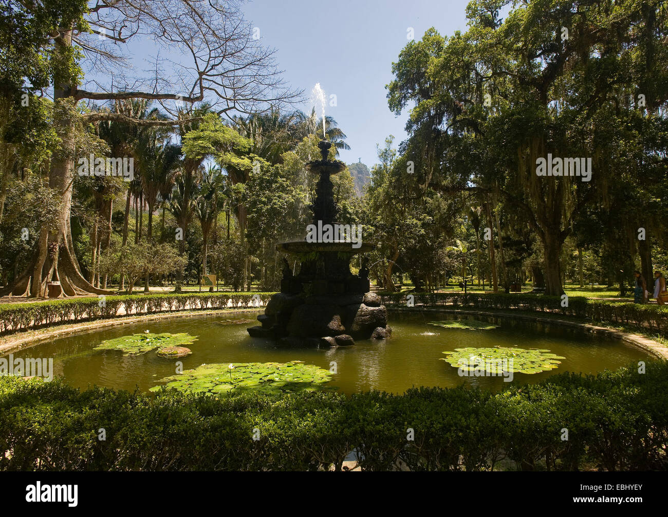 Fontana nel giardino botanico di Rio de Janeiro in Brasile. Foto Stock