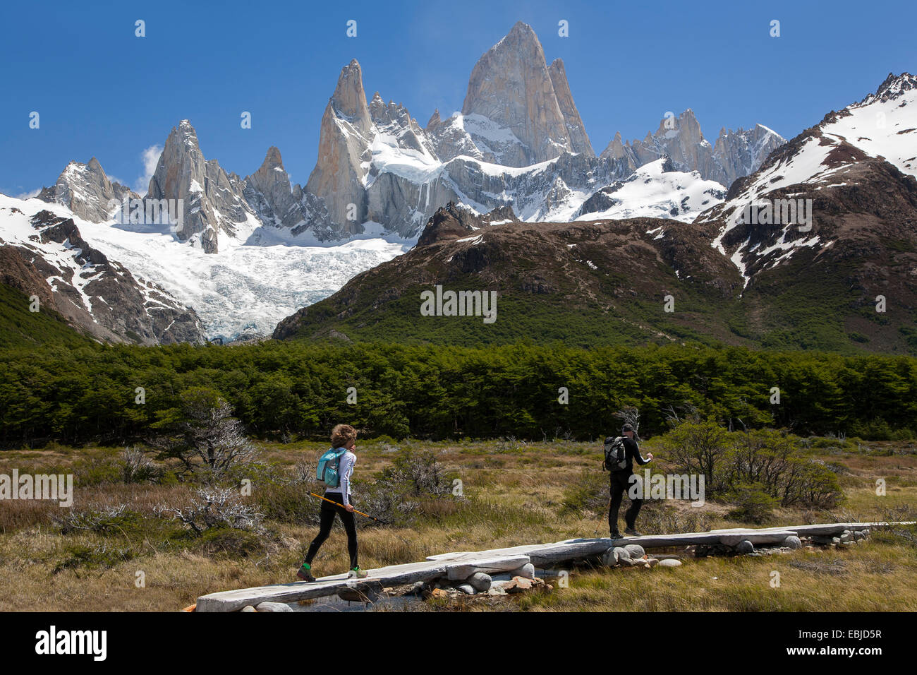 Trekking in Patagonia. Con sullo sfondo il Monte Fitz Roy massiccio. Parco nazionale Los Glaciares. La Patagonia. Argentina Foto Stock