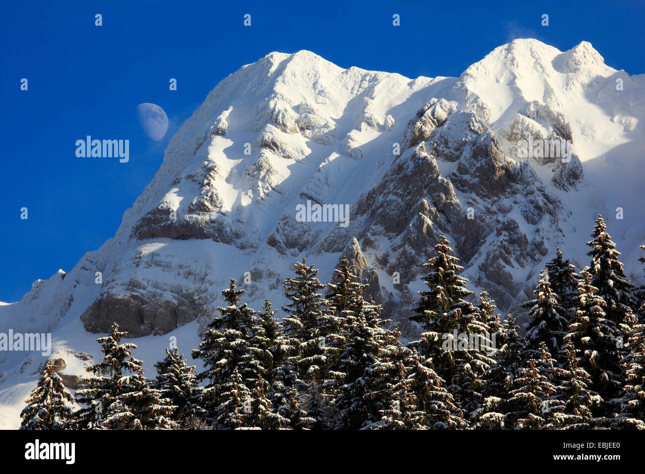 Vista montagna Saentis, Svizzera, Appenzell, Alpstein Foto Stock