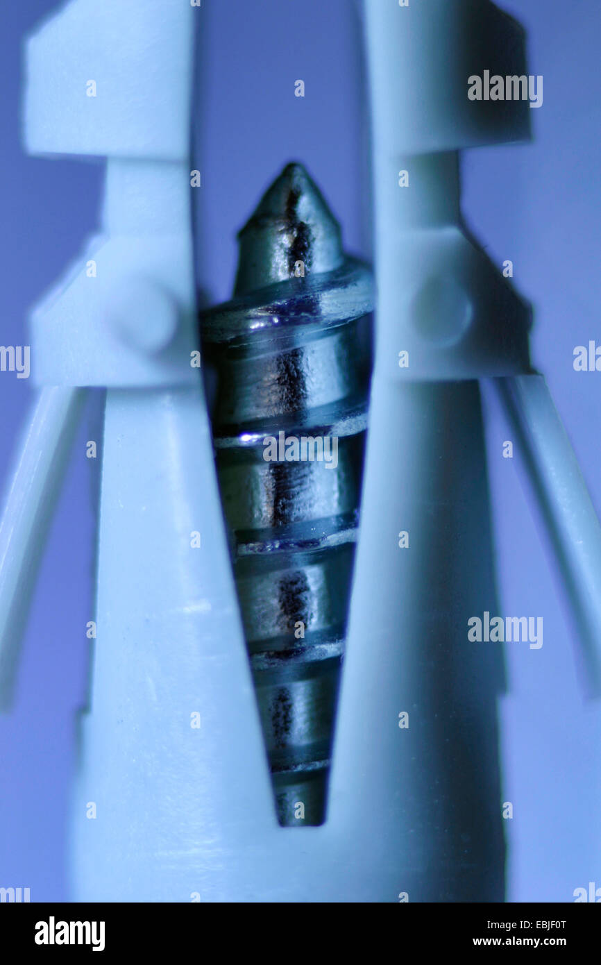Spine e viti Foto Stock