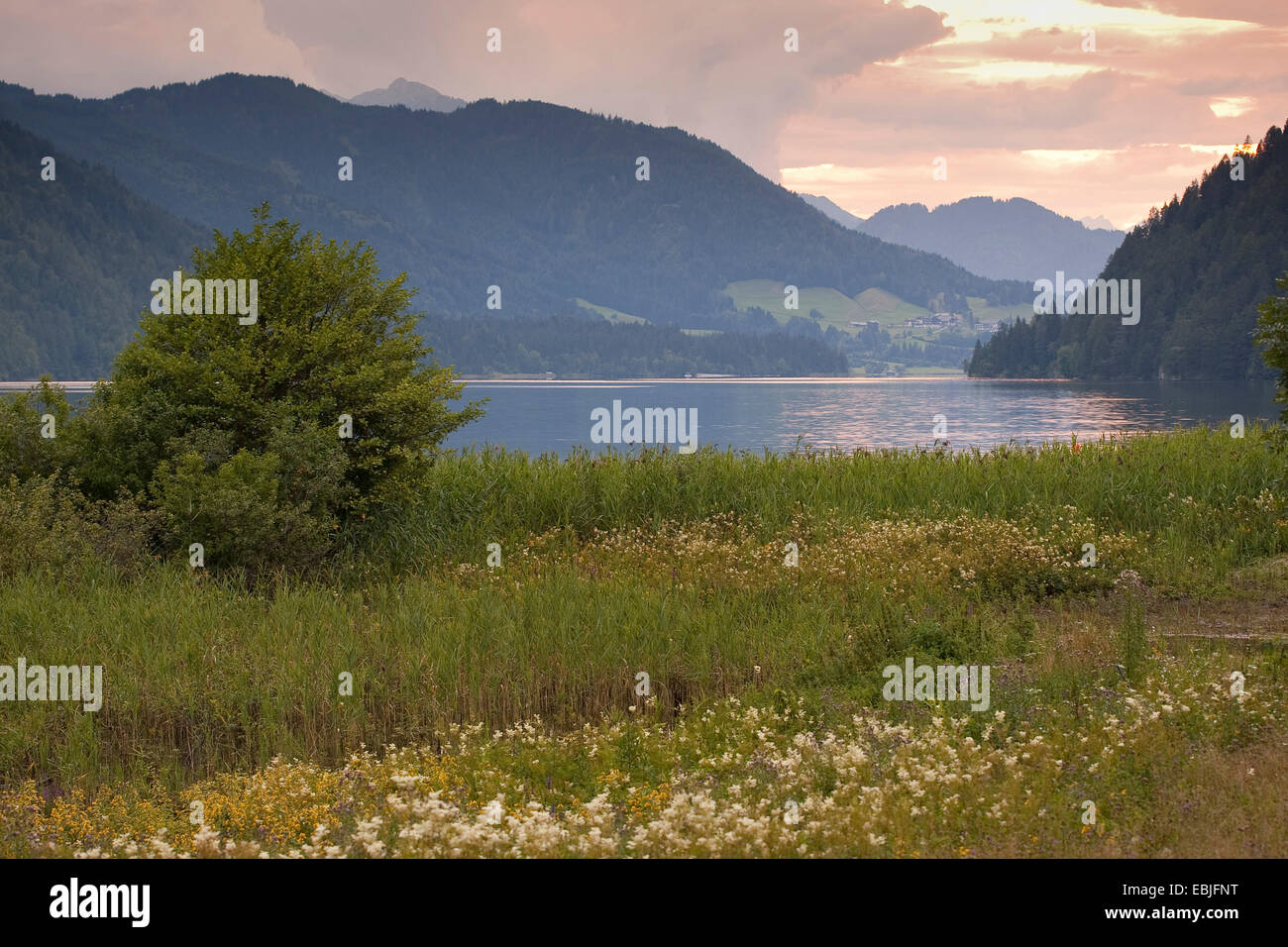 Pittoresca vista sul lago Weissensee Austria, Kaernten, Naturpark Weissensee Foto Stock