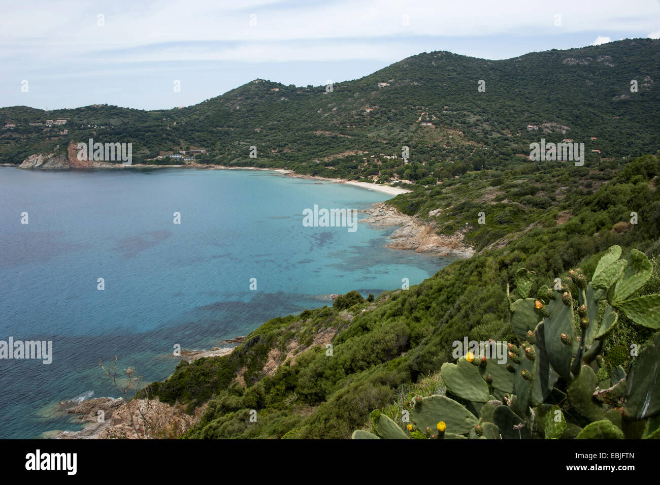 Spiaggia di Stagnoli, Francia, Corsica Foto Stock