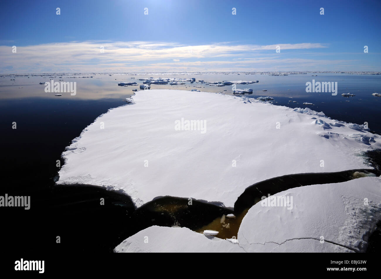 Superficie di ghiaccio sul sud oceano polare rotto in ice floes, Antartide Foto Stock
