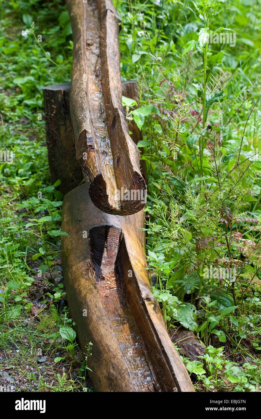 In legno intagliato gronda del tetto, Germania Foto Stock