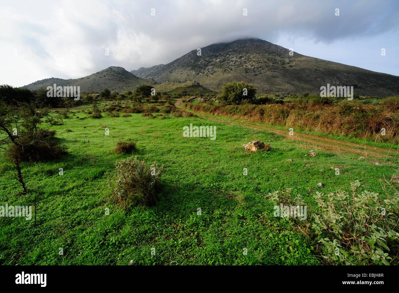 Prato e il paesaggio collinare sulla penisola di Mani, Grecia, Peloponneso, Mani Foto Stock