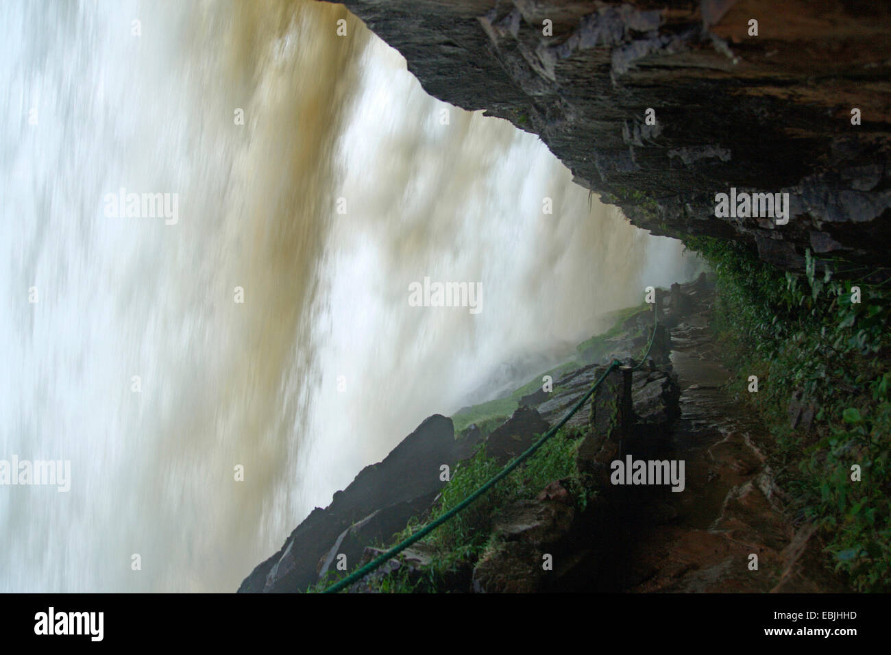 Percorso dietro il Salto Sapo di Canaima, Venezuela, il Parco Nazionale di Canaima Foto Stock