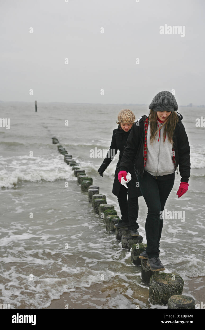 Due giovani donne in equilibrio su groyne in legno, Paesi Bassi Zeeland, Breskens, Sluis Foto Stock