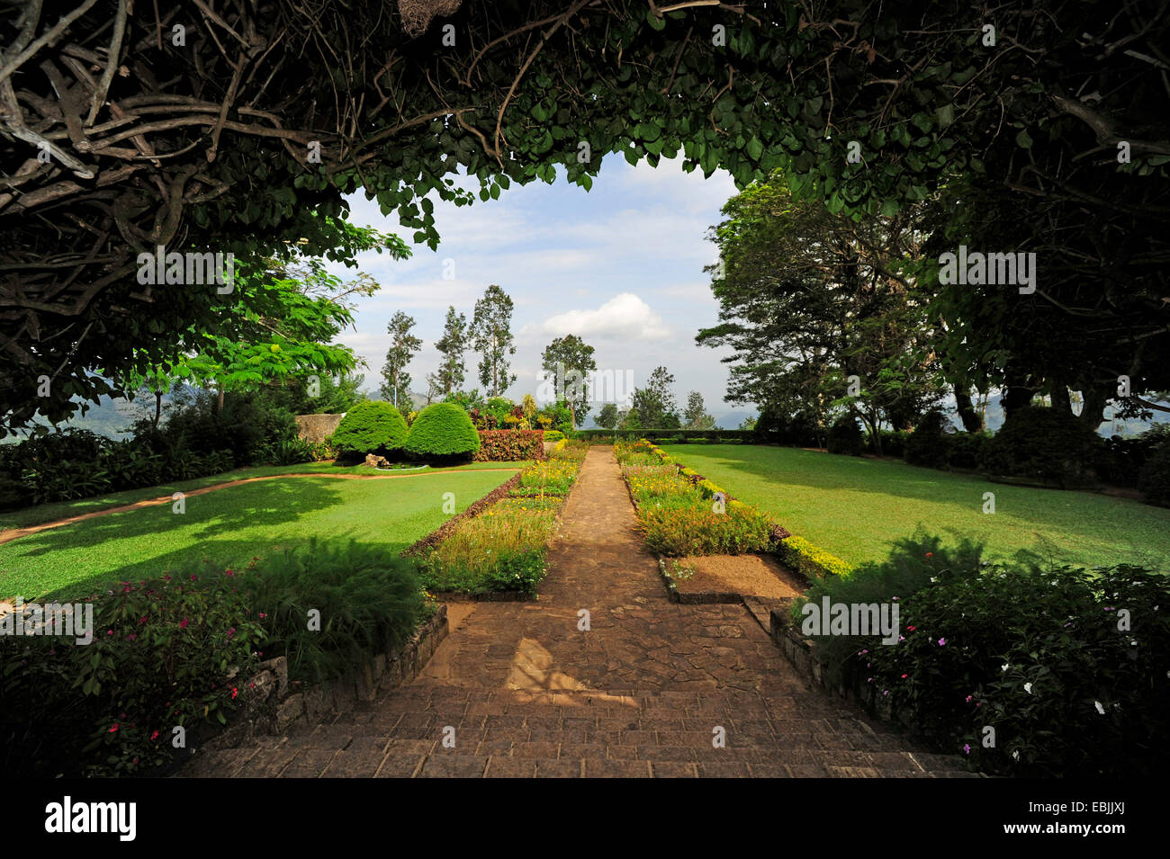 Parco di un vecchio manour inglese in un teaa plantaion, Sri Lanka, lato di mattina Foto Stock