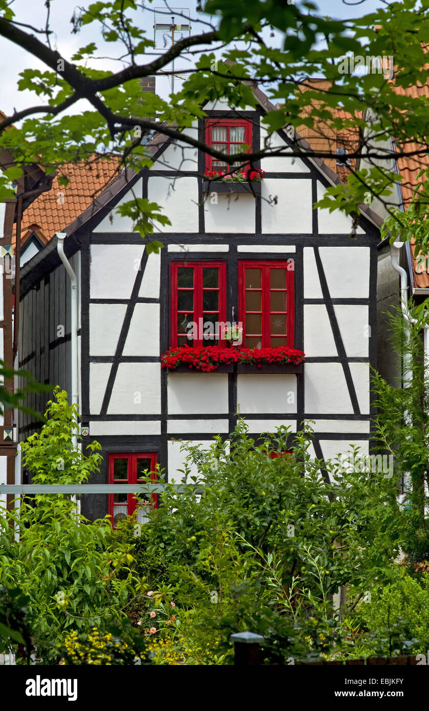 Storico di legno a casa, in Germania, in Renania settentrionale-Vestfalia, Paderborn Foto Stock