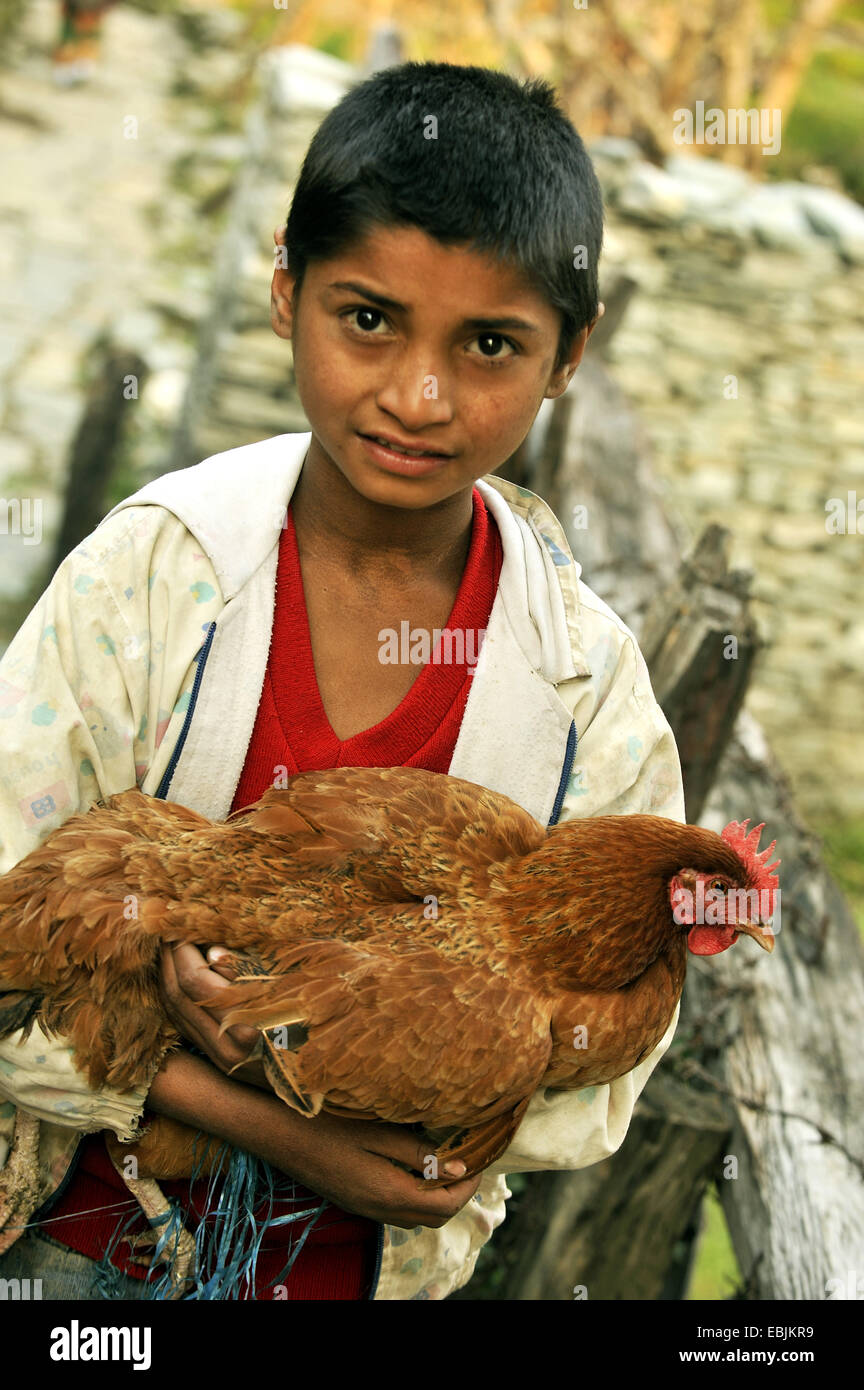 Galli e galline (Gallus gallus f. domestica), ragazzo con hen nei bracci su un percorso in corrispondenza di Annapurna Himal, Nepal, Annapurna Foto Stock