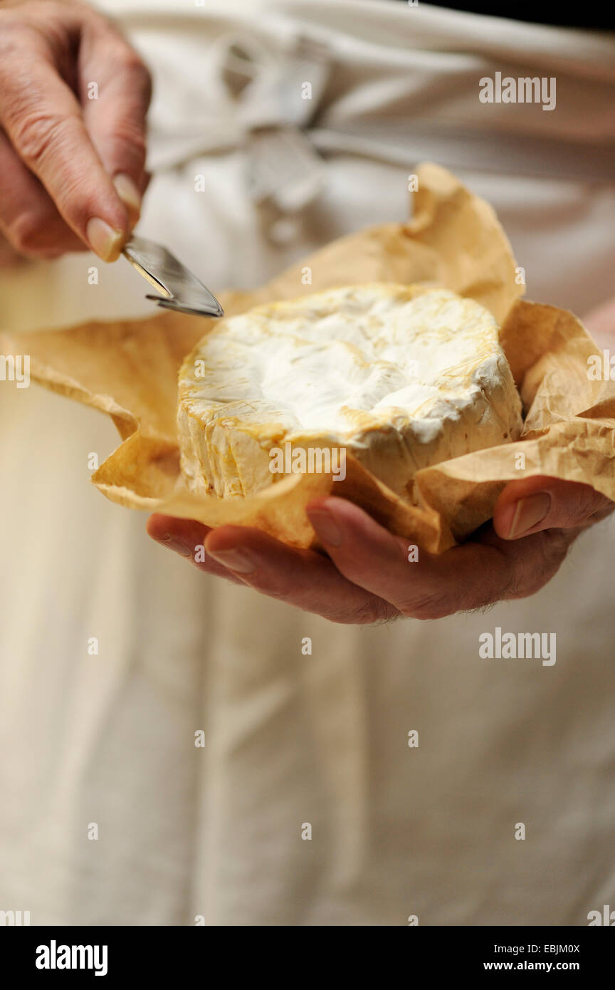 Uomo con formaggio di capra e il formaggio coltello, concentrarsi sulle mani Foto Stock