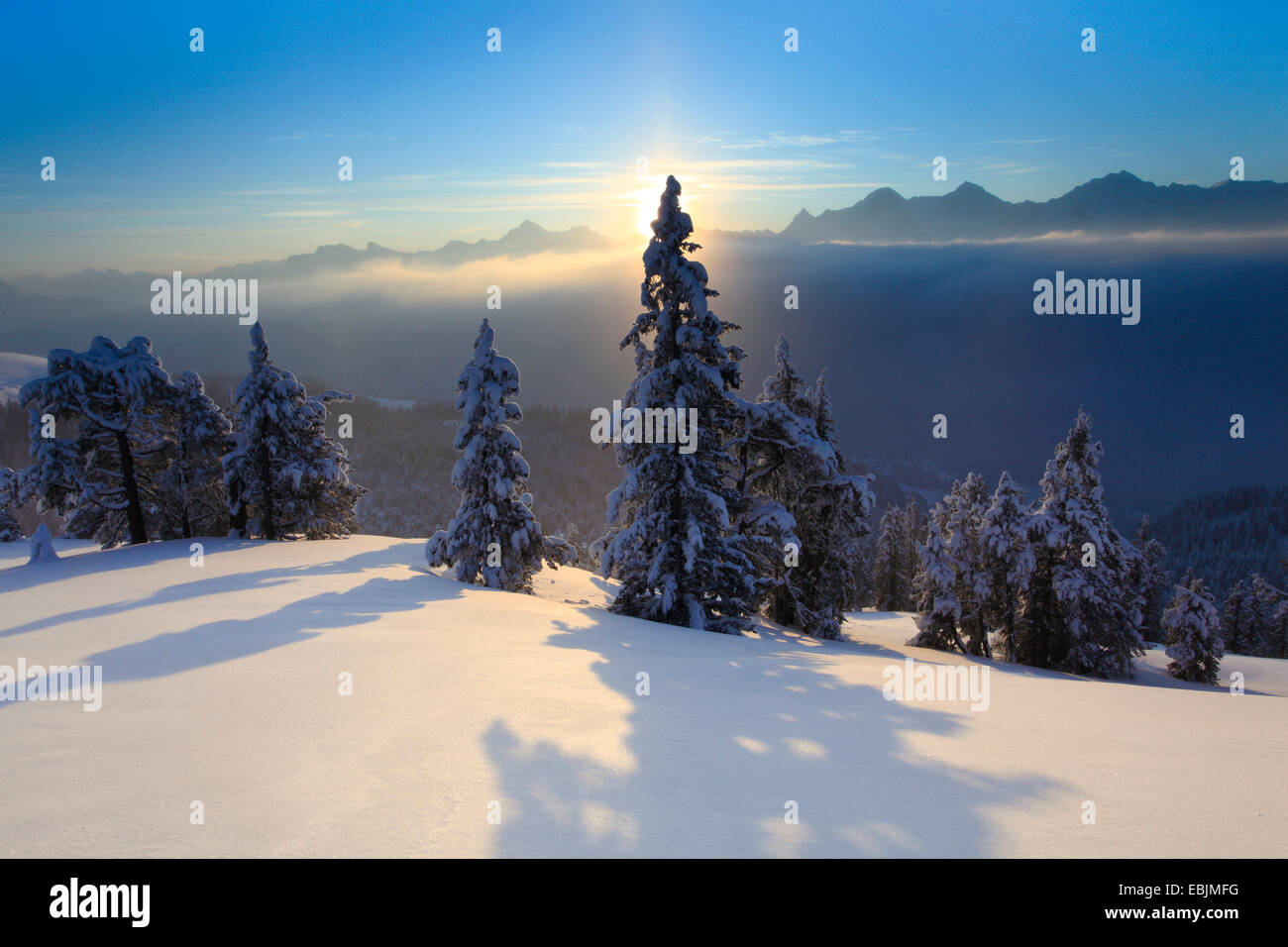 Vista panoramica dalla coperta di neve Niederhorn nel sole di sera con il triumvirato di Eiger (3970 m), Moench (4107 m) und Jungfrau (4158 m), Svizzera, Oberland bernese, Alpi bernesi Foto Stock