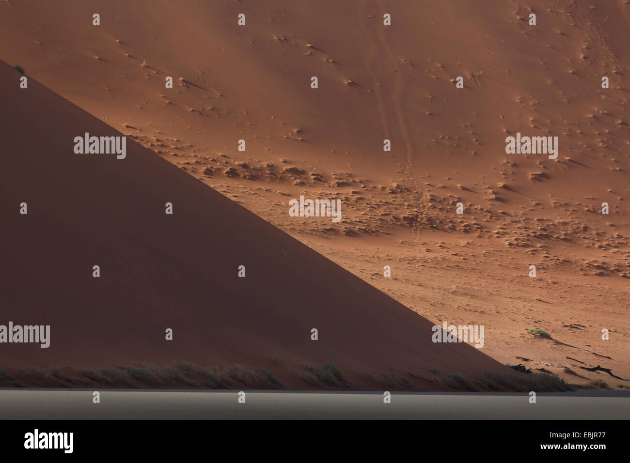 Ombreggiata duna di sabbia, Deaddvlei, Sossusvlei Parco Nazionale, Namibia Foto Stock