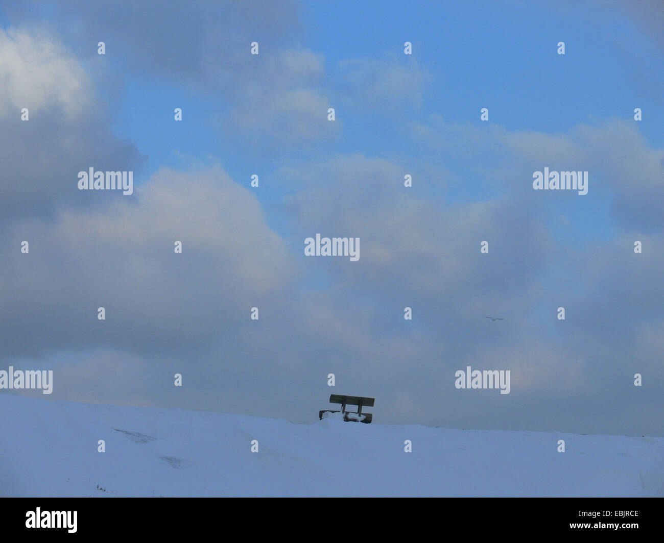 Panca su Mare del Nord dyke nella neve, Germania, Bassa Sassonia, Butjadingen Foto Stock