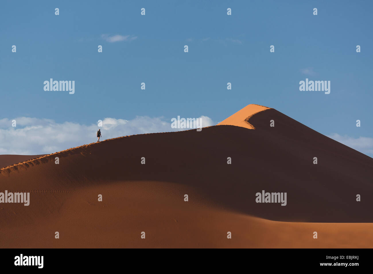 Stagliano uomo gigante di arrampicata duna di sabbia, Sossusvlei Parco Nazionale, Namibia Foto Stock