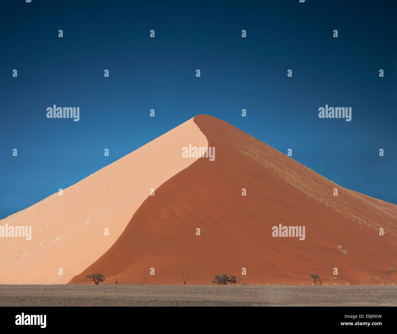 Alberi lontani e le gigantesche dune di sabbia, Sossusvlei Parco Nazionale, Namibia Foto Stock
